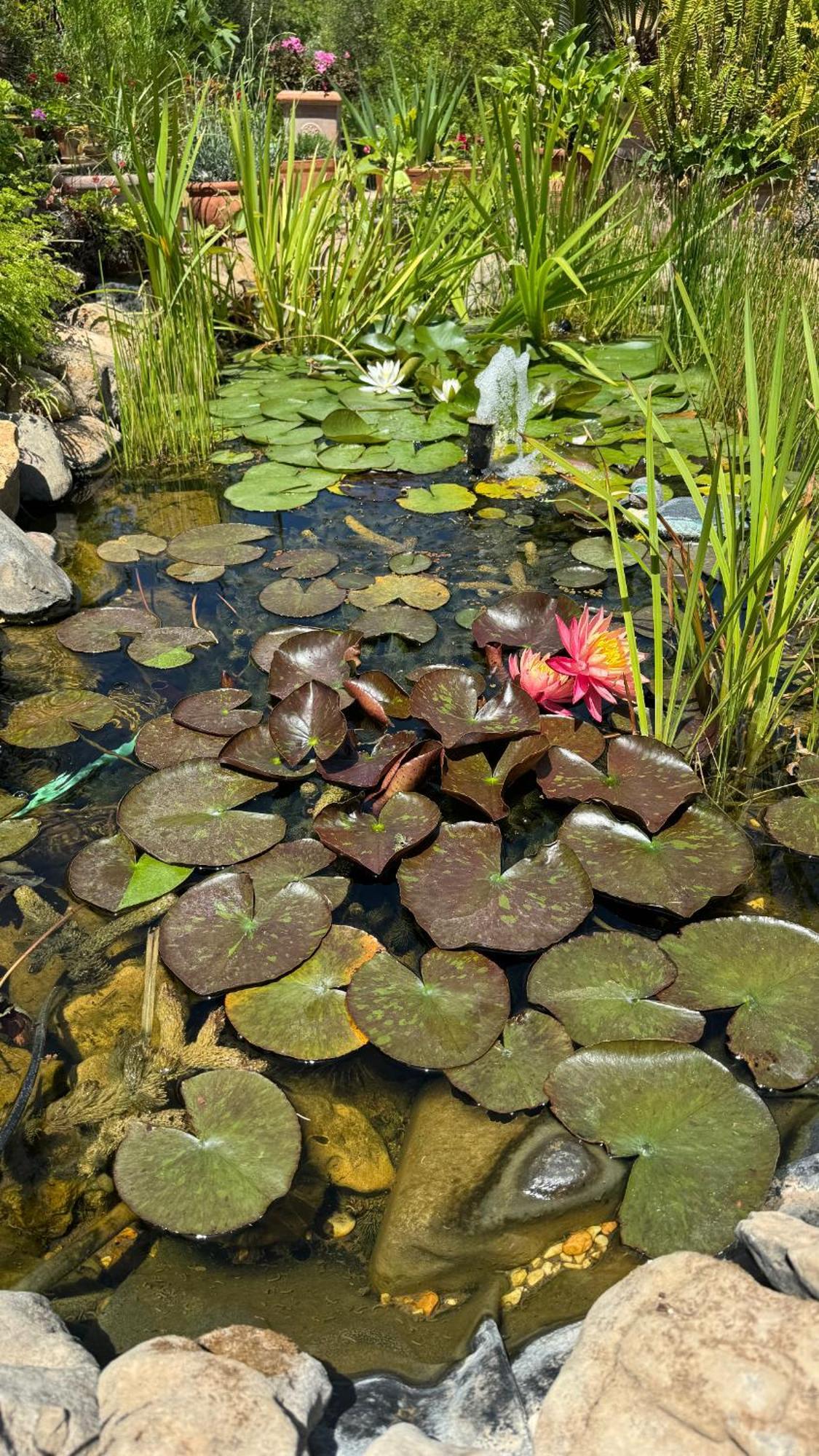 Villa Dei Fiori - Casa Vacanza Capoterra Bagian luar foto