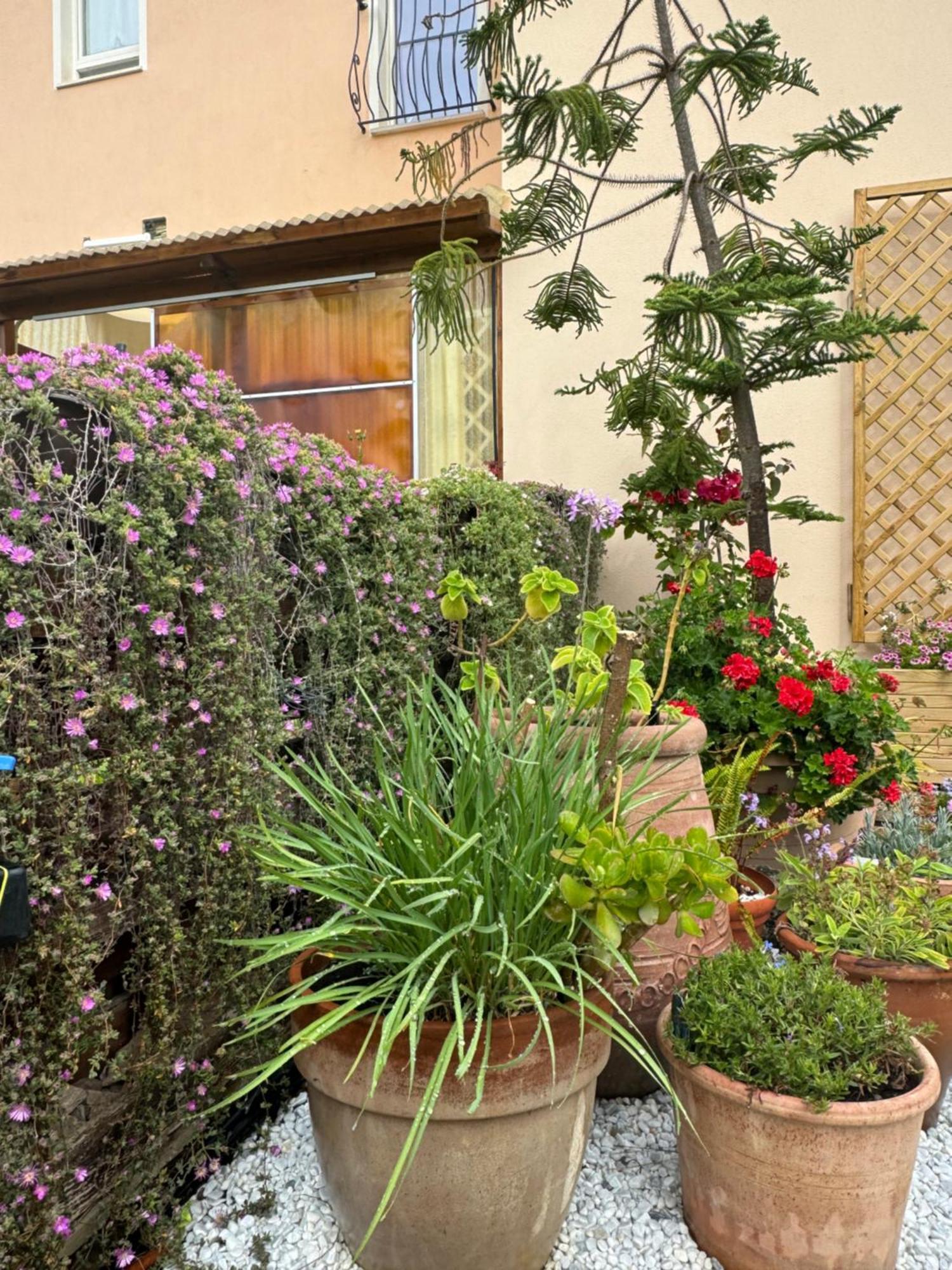 Villa Dei Fiori - Casa Vacanza Capoterra Bagian luar foto