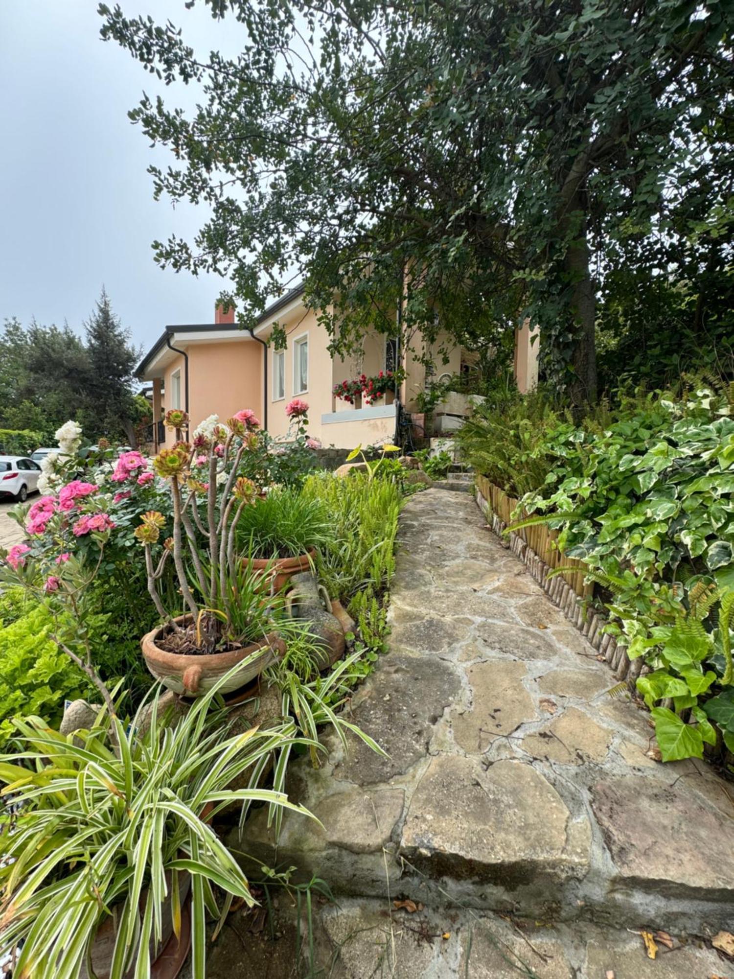 Villa Dei Fiori - Casa Vacanza Capoterra Bagian luar foto