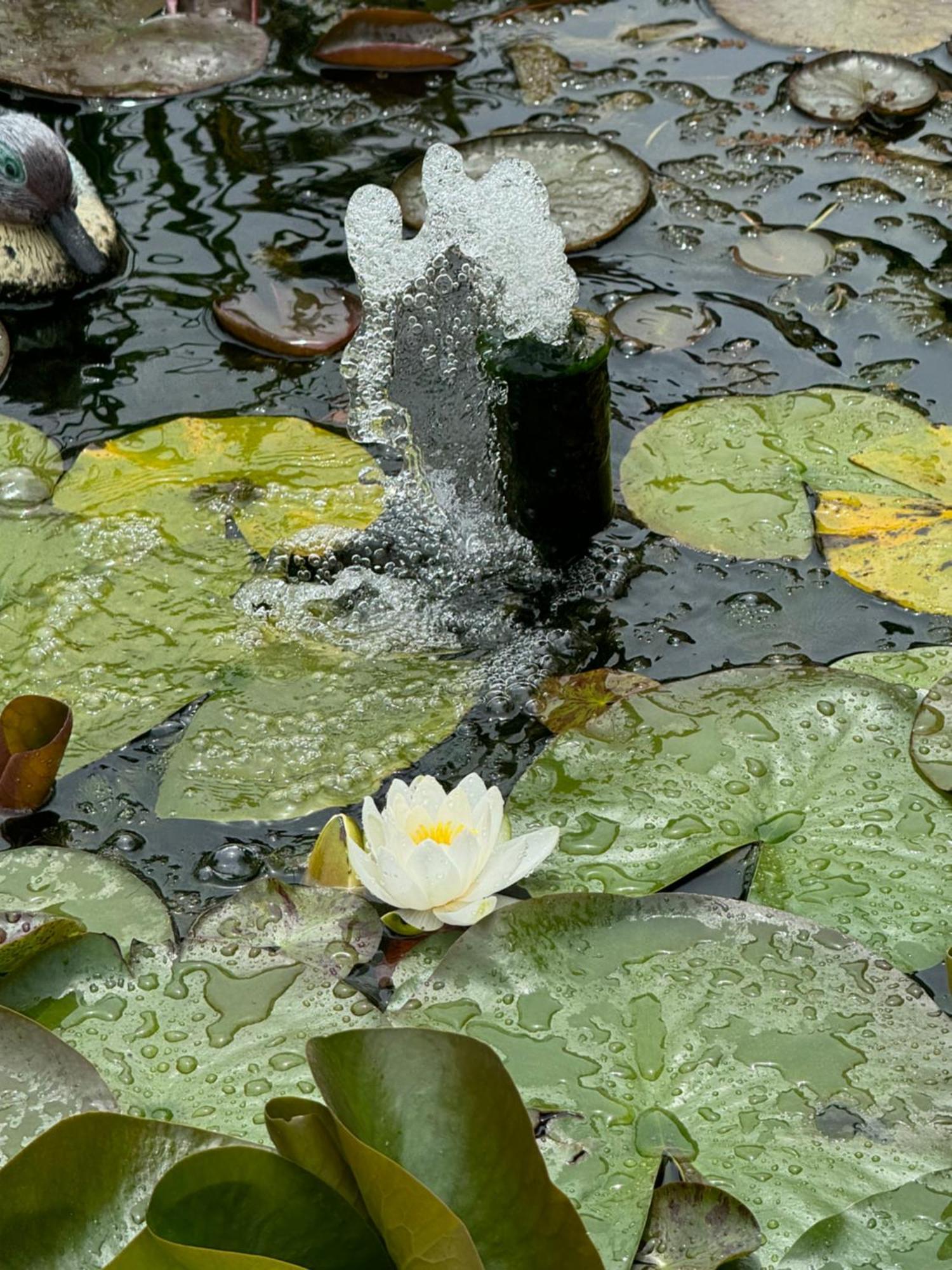 Villa Dei Fiori - Casa Vacanza Capoterra Bagian luar foto